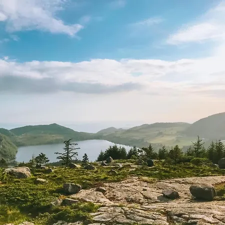 Romslig Naer Preikestolen アパート タウ